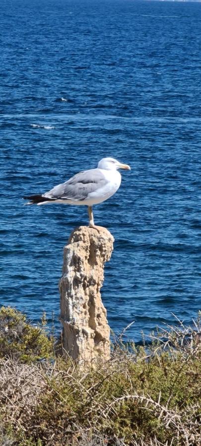 75 Avinguda De Murcia サンタ・ポラ エクステリア 写真